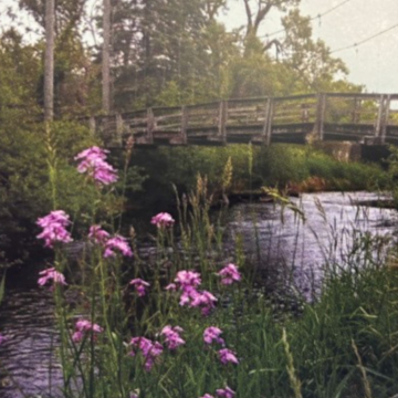 Bridge and Flowers