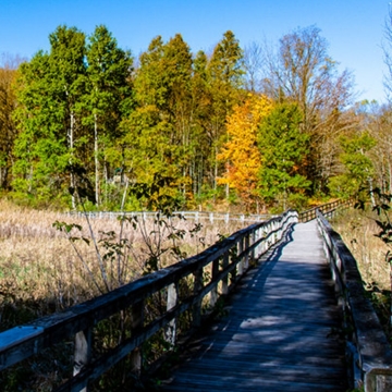 Linear Park